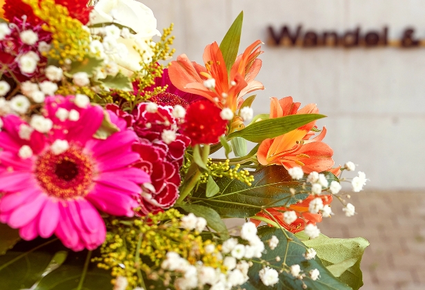 Veranstaltungsraum, Eventlocation, Seminarraum, Konferenzraum, Besprechungsraum, Hochzeitslocation, Private Feier, Feierlocation, Veranstaltungsraum mit Küche, Raum mit Beamer, Barrierefreier Veranstaltungsraum, Teamevent